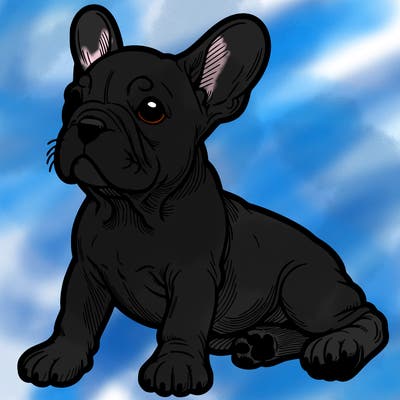 french bulldog