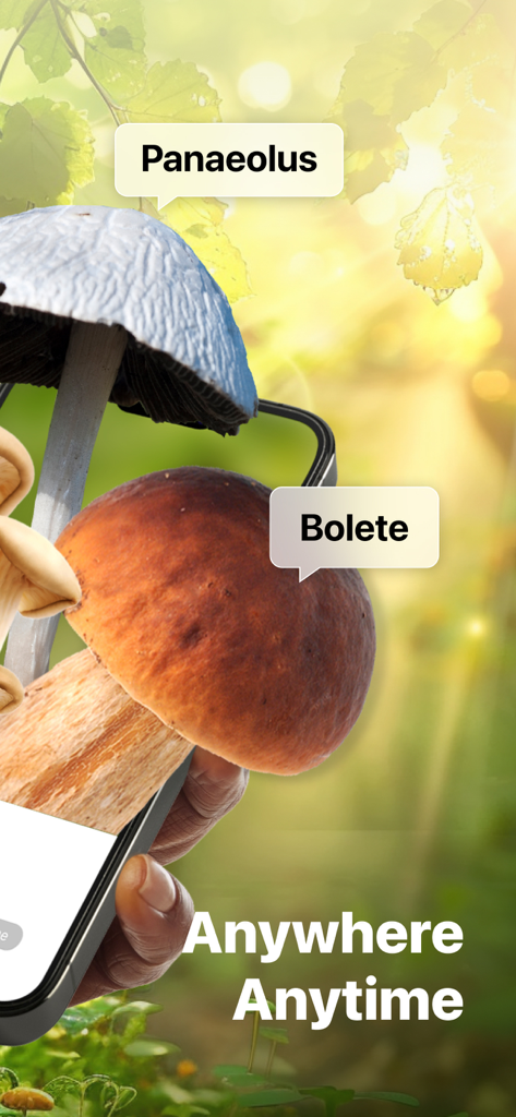 Ein Smartphone identifiziert den Pilz Panaeolus und den Röhrling in einem Wald mit dem Text überall und jederzeit.