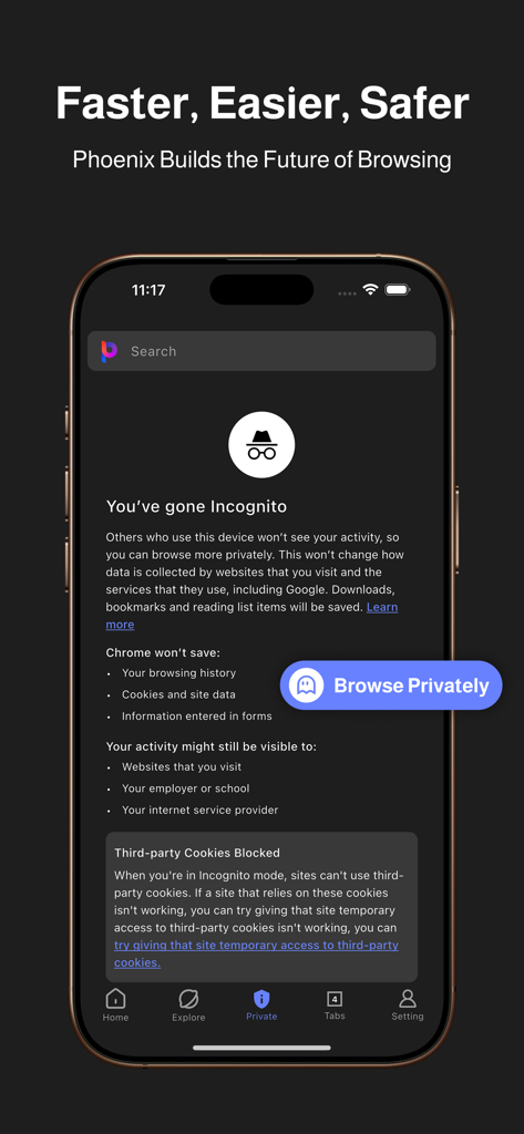 Phoenix Browser incognito mode interface for private web browsing on an iPhone