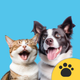 Pet Sound: Dog & Cat Sounds