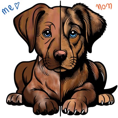 realistic dog split picture