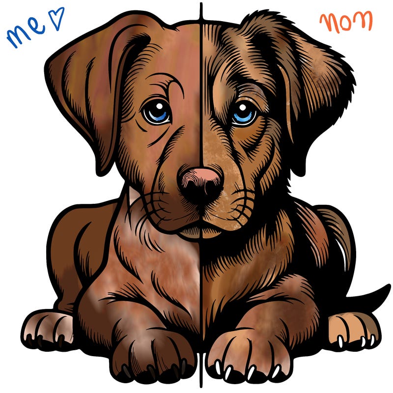 realistic dog split picture