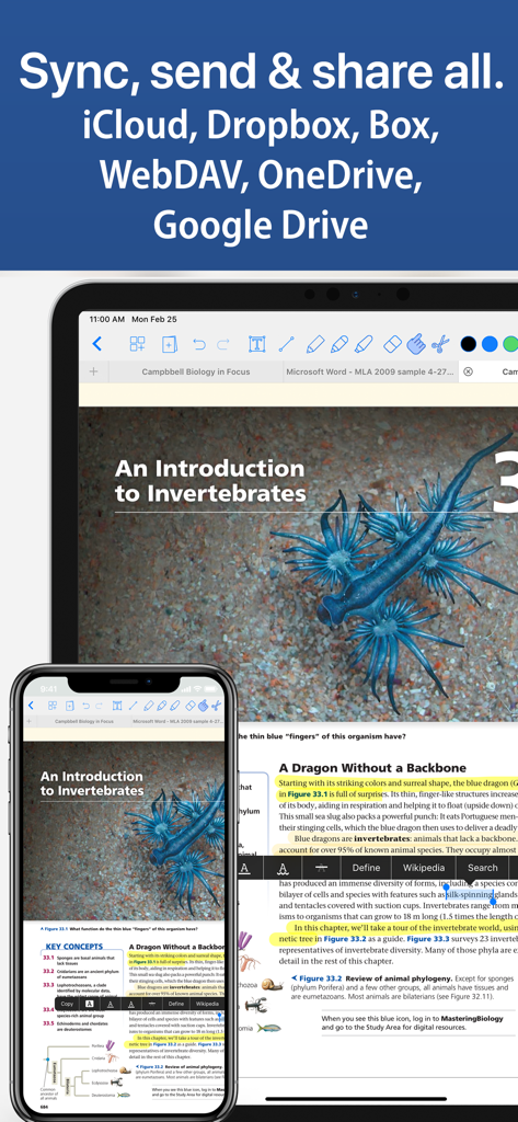 Interfaccia dell'app Notes Writer su iPad e iPhone che mostra la sincronizzazione dei documenti tra servizi cloud come iCloud e Google Drive