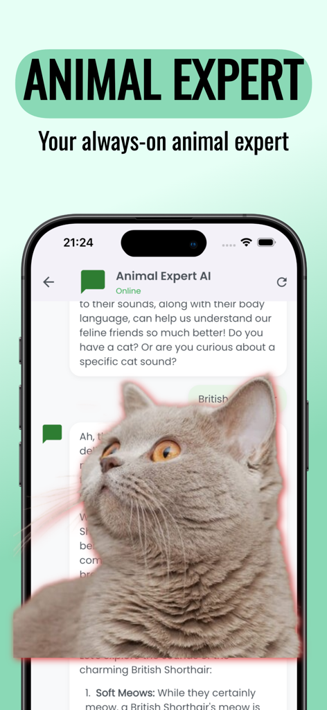 Animal Sound Identifier app screenshot showing the AI chat interface with a cat image.