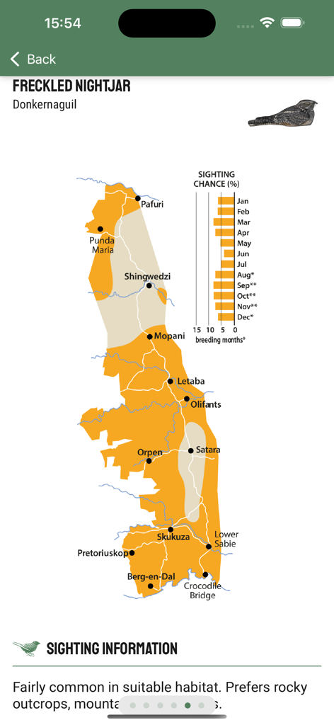 Kruger Birding by Firefinch - 
