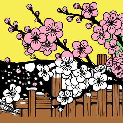 japan cherry blossom