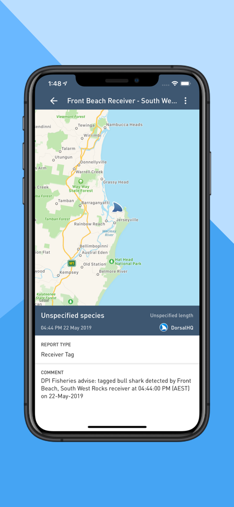 Dorsal Shark Reports app interface displaying a tagged bull shark sighting on a coastal map