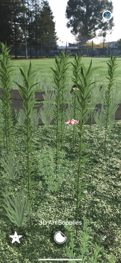 Magic Fish AR - A screenshot of Magic Fish AR showing 3D seaweed and a koi fish in an outdoor environment
