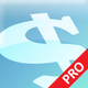 Express Invoice Pro 2022