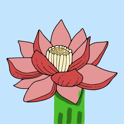 flowers_08