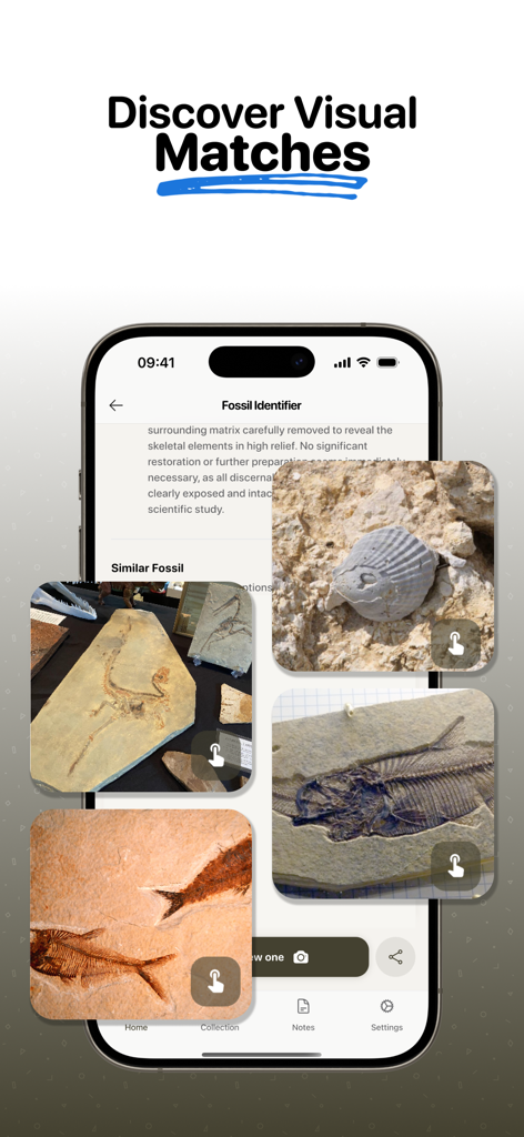 Fossil Identifier: Scan Fossil - A mobile screen showing the Fossil Identifier app with a gallery of similar fossils including shells and fish skeletons.