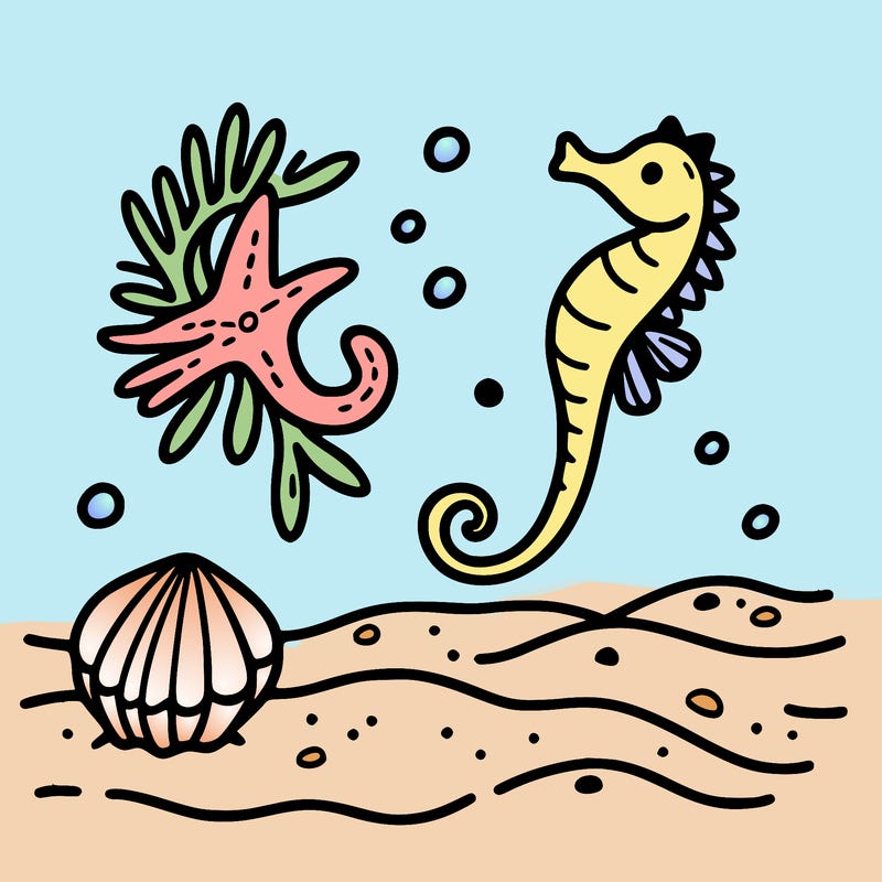 sand, sea horse, starfish