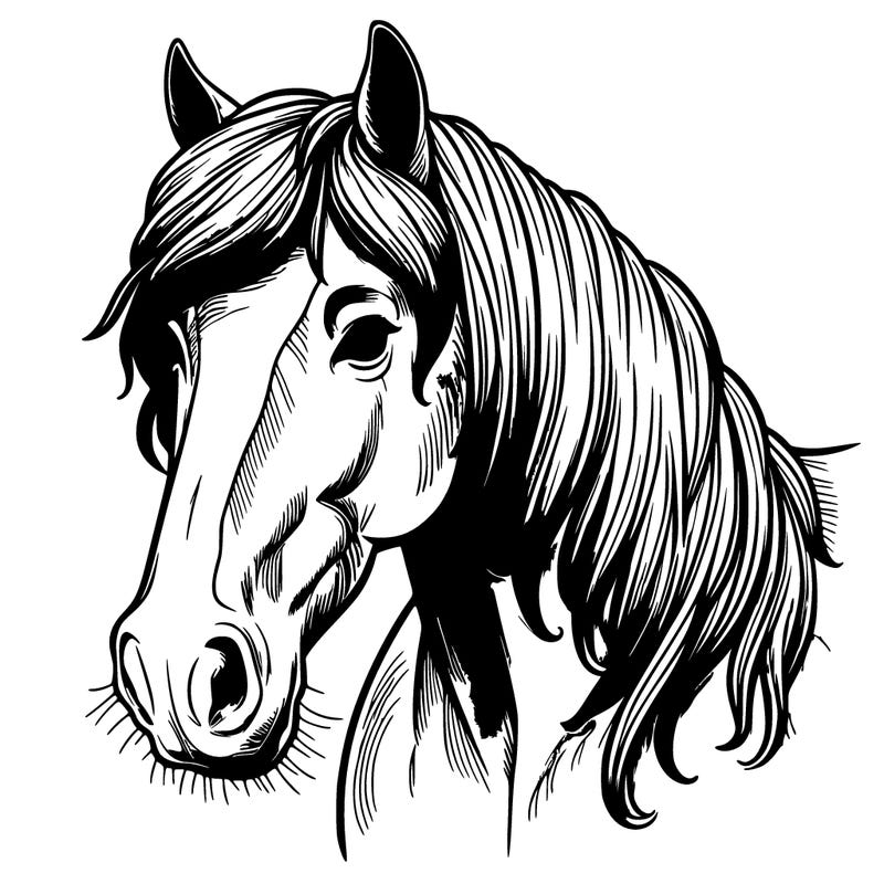 horse realistic