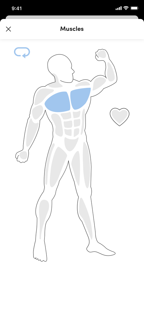 Aura Fitness Club App - Human body diagram in the Aura Fitness Club App showing highlighted pectoral muscles for exercise targeting