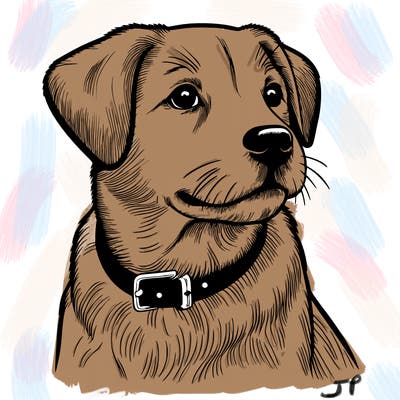 dog realistic