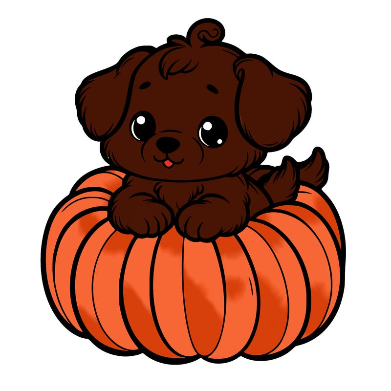 cute little puppy in a pumpkin