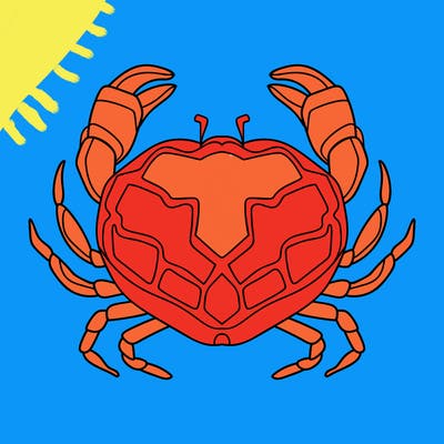 animals_16