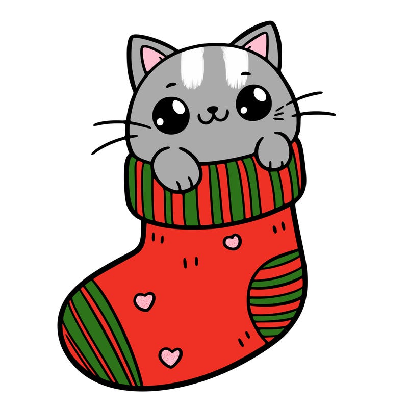 cute cat in a sock