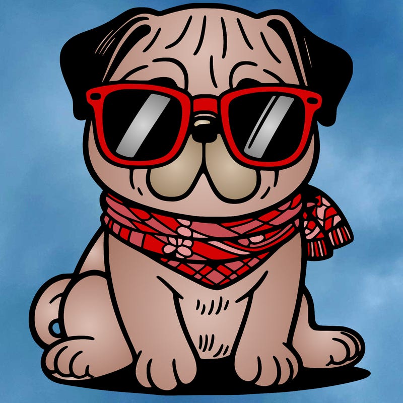 a pug with sunglasses