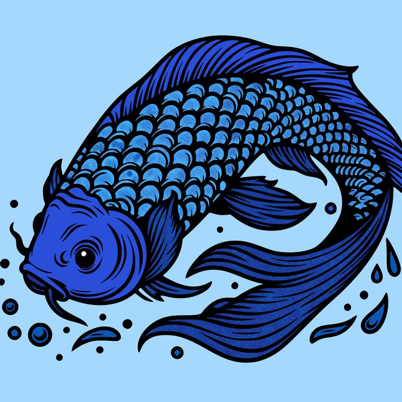 beautiful koi fish