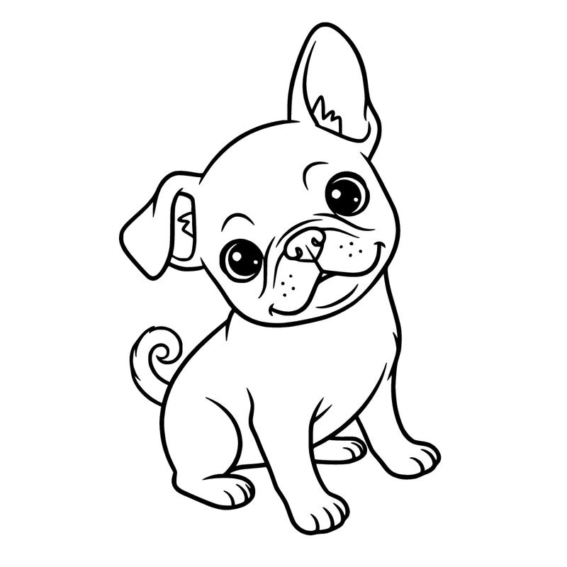 cute little dog 🐕