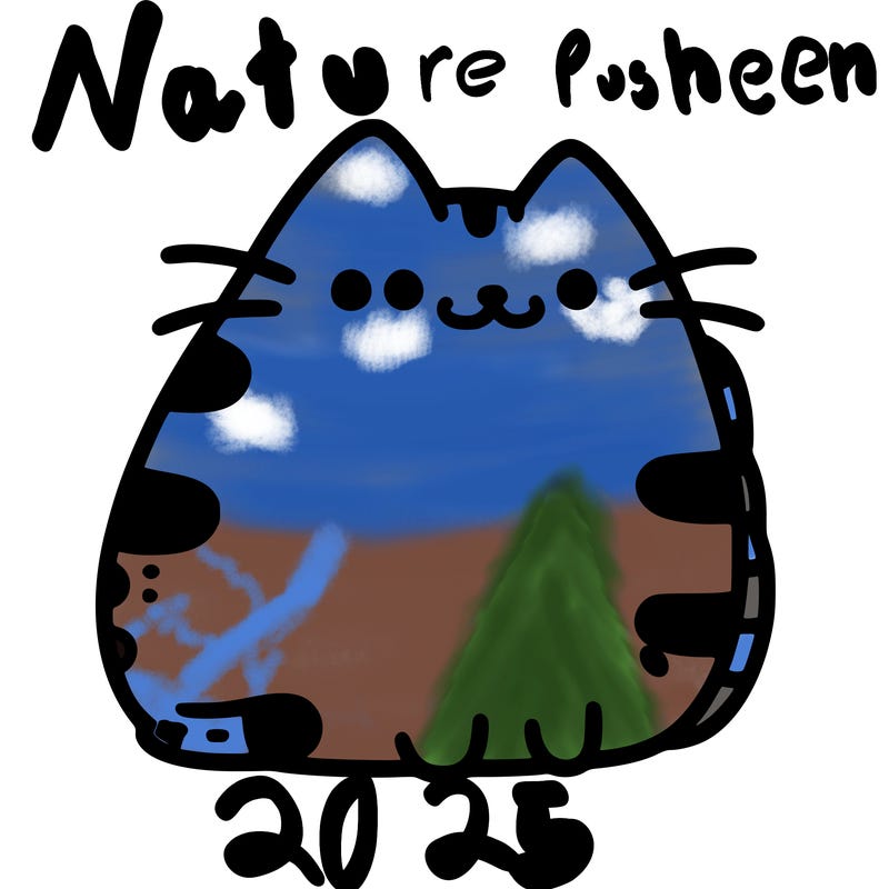 pusheen cat