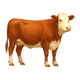 My Cattle Manager - Farm app