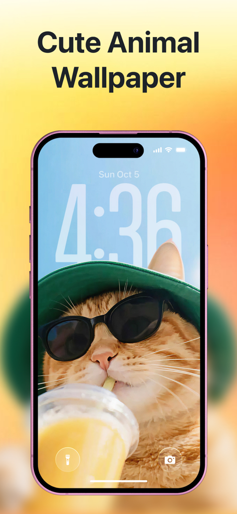 Wallio - Live Wallpapers - 선글라스와 녹색 모자를 쓴 귀여운 생강 고양이를 보여주는 아이폰 잠금 화면