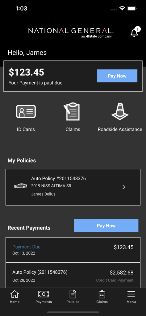 National General - Dashboard of the National General insurance app showing payment due and policy details