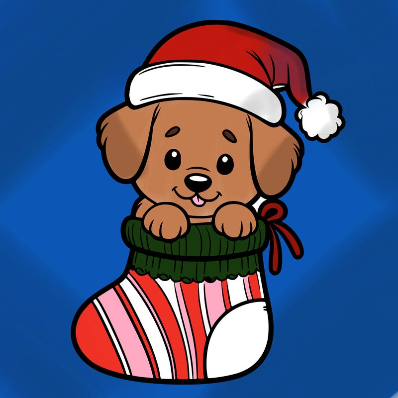 cute puppy wearing santa hat in socking