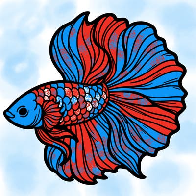 betta fish