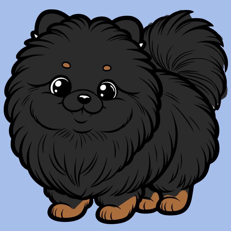 pomeranian