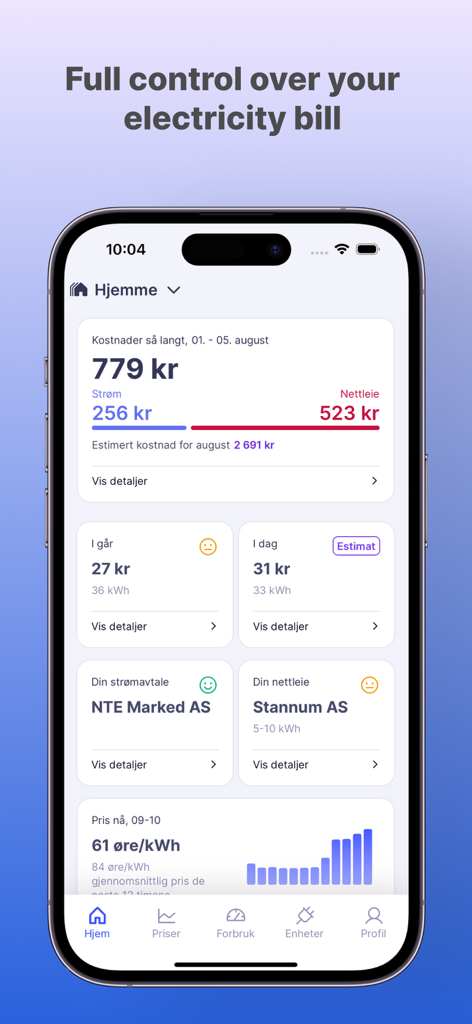 Pantalla de smartphone que muestra el panel de control de la aplicación Elekt con un resumen de los costos de electricidad y estadísticas de uso