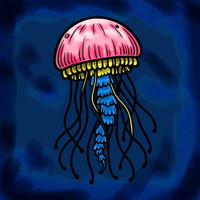 jellyfish
