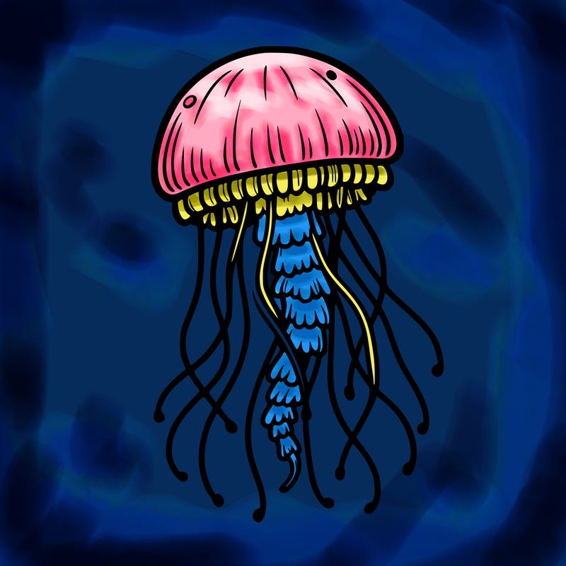 jellyfish