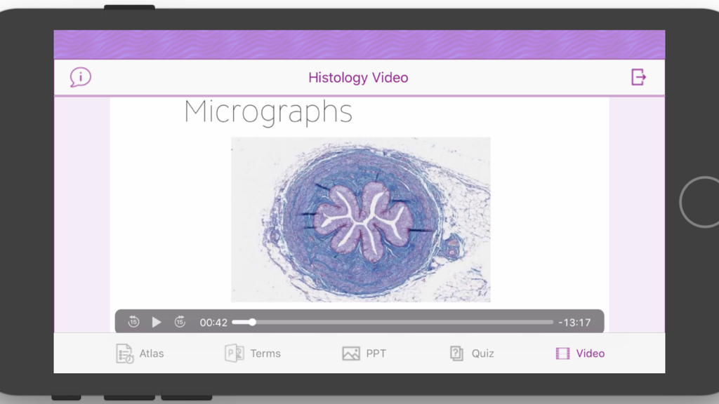 Histology Cell Tissue - Uma videoaula no aplicativo Histologia Tecido Celular mostrando uma micrografia de seção transversal de uma estrutura de tecido.