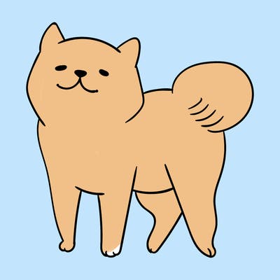 animals_29