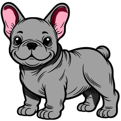 french bull dog