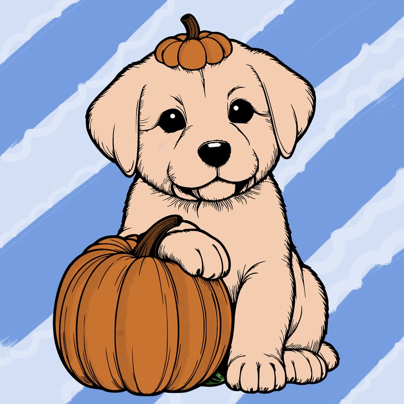 a realistic puppywith a pumpkin on his head