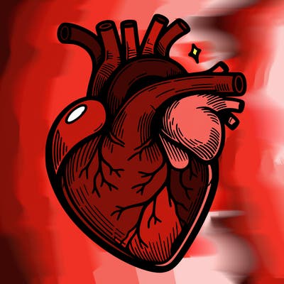 realisticl heart