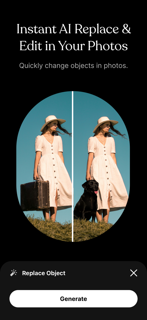Remo・Remove Objects from Photo - Before and after comparison of replacing a suitcase with a dog using Remo AI