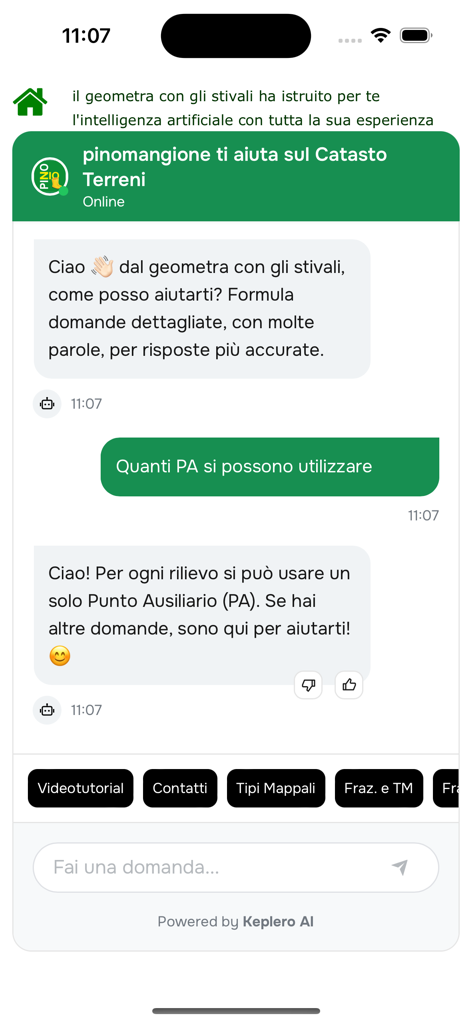 Interface of the Ziopino AI assistant answering questions about Italian land registry regulations.
