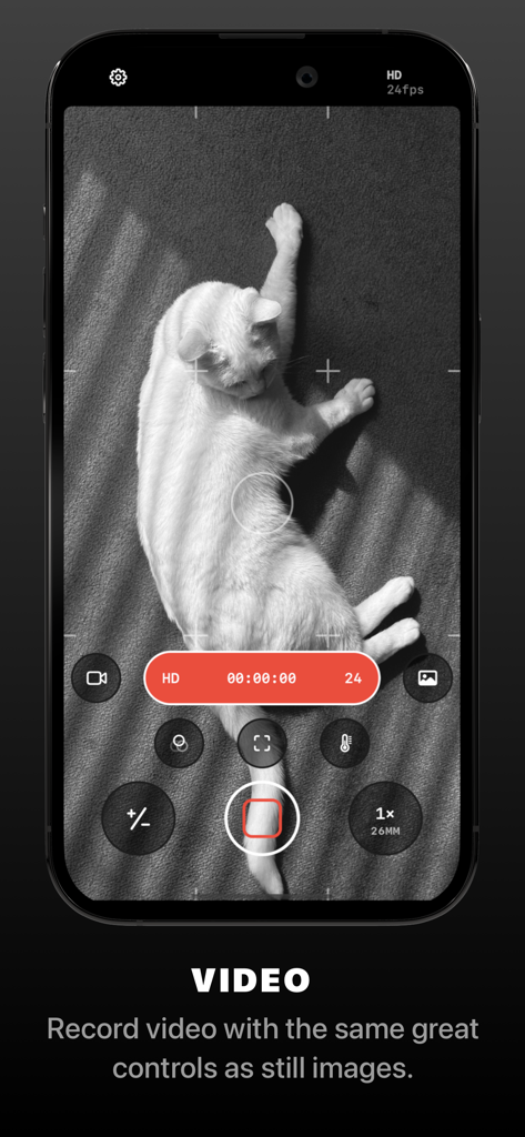 Obscura — Pro Camera - Screenshot of the Obscura app video recording interface showing professional manual controls while filming a white cat in black and white