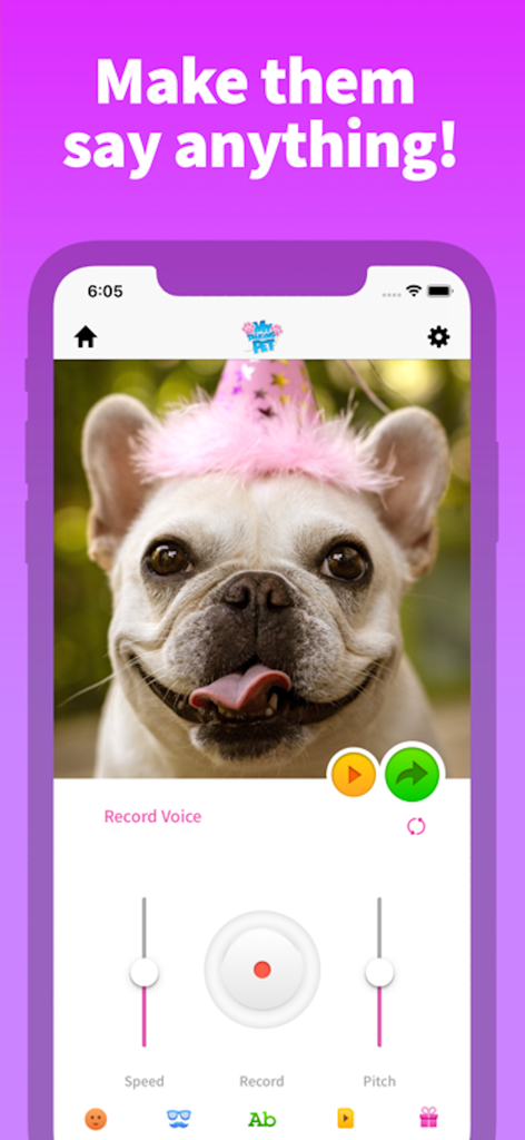 Interface de l'application Mon Animal Parlant montrant un chien portant un chapeau d'anniversaire rose avec des commandes d'enregistrement et de hauteur de voix