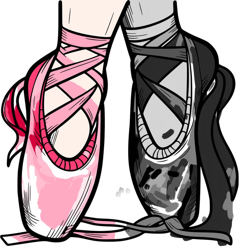 ballet shoes