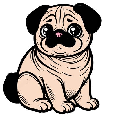 pug