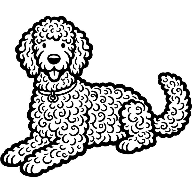 goldendoodle