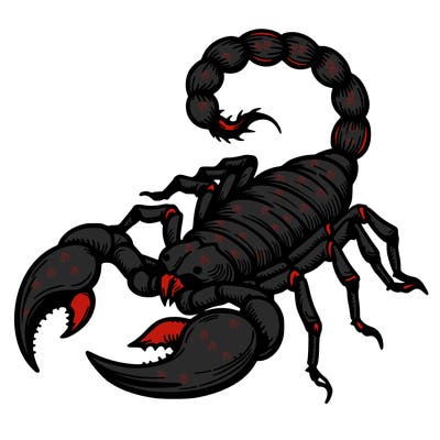 scorpion