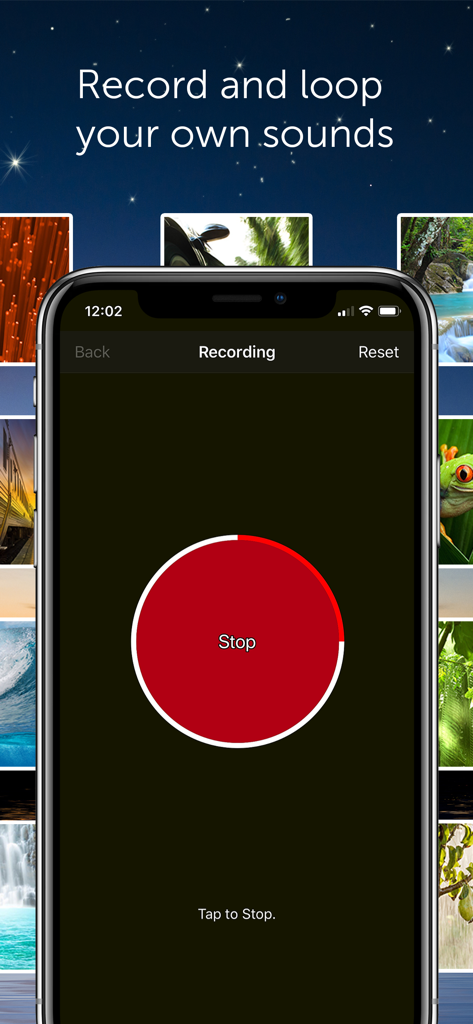 White Noise Pro - A mobile app interface for recording and looping custom white noise sounds.
