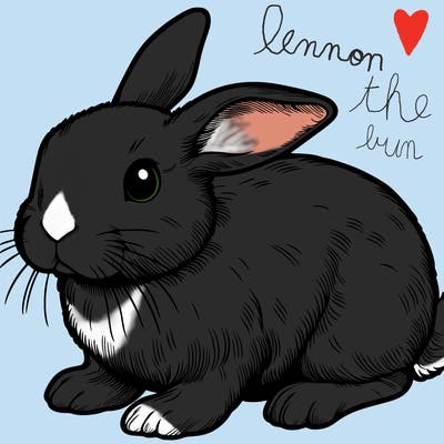realistic bunny